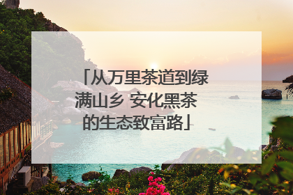 从万里茶道到绿满山乡 安化黑茶的生态致富路
