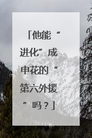 他能“进化”成申花的“第六外援”吗？