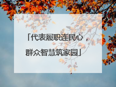 代表履职连民心，群众智慧筑家园