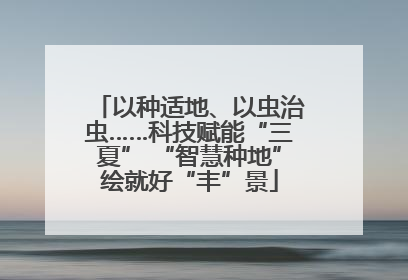 以种适地、以虫治虫……科技赋能“三夏” “智慧种地”绘就好“丰”景
