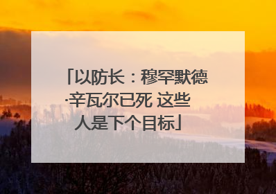 以防长：穆罕默德·辛瓦尔已死 这些人是下个目标