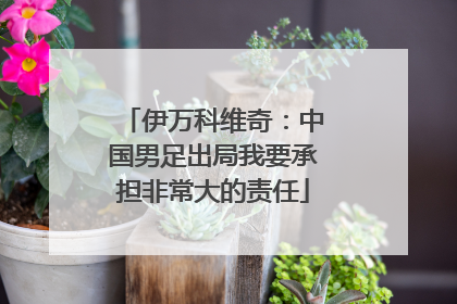 伊万科维奇：中国男足出局我要承担非常大的责任