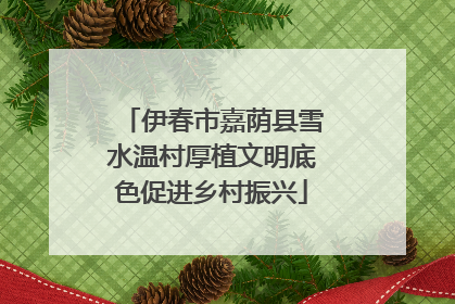 伊春市嘉荫县雪水温村厚植文明底色促进乡村振兴