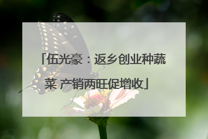 伍光豪：返乡创业种蔬菜 产销两旺促增收