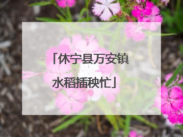 休宁县万安镇水稻插秧忙