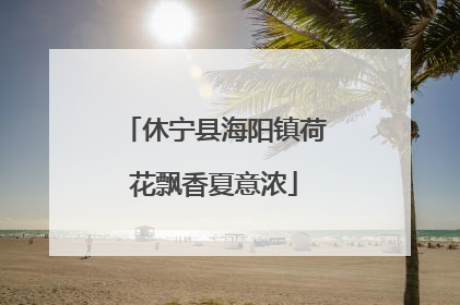 休宁县海阳镇荷花飘香夏意浓