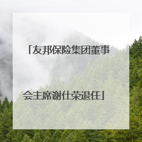 友邦保险集团董事会主席谢仕荣退任