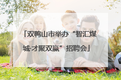 双鸭山市举办“智汇煤城·才聚双赢”招聘会