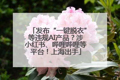 发布“一键脱衣”等违规AI产品？涉小红书、哔哩哔哩等平台！上海出手