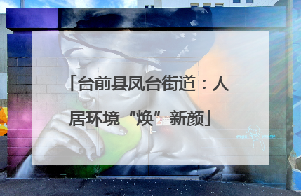 台前县凤台街道：人居环境“焕”新颜