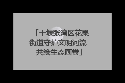 十堰张湾区花果街道守护文明河流 共绘生态画卷