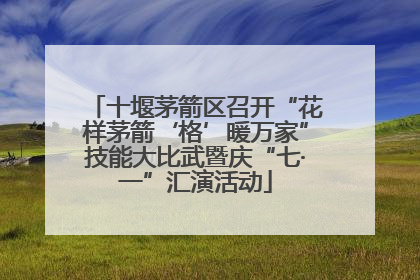 十堰茅箭区召开“花样茅箭‘格’暖万家”技能大比武暨庆“七·一”汇演活动