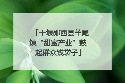 十堰郧西县羊尾镇“甜蜜产业”鼓起群众钱袋子