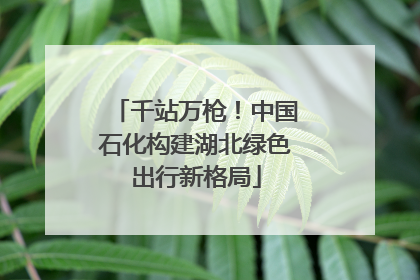 千站万枪！中国石化构建湖北绿色出行新格局