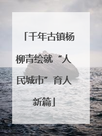 千年古镇杨柳青绘就“人民城市”育人新篇