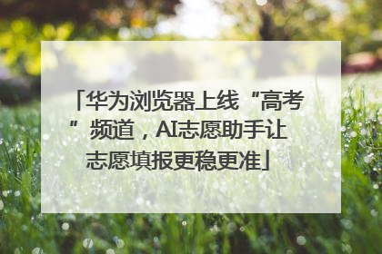 华为浏览器上线“高考”频道，AI志愿助手让志愿填报更稳更准
