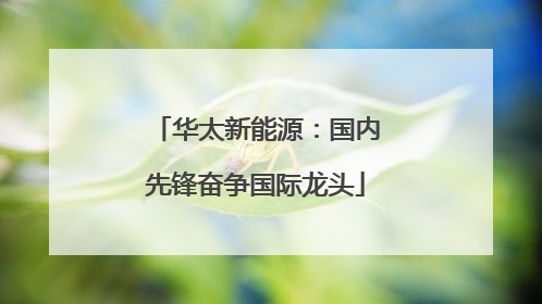 华太新能源：国内先锋奋争国际龙头
