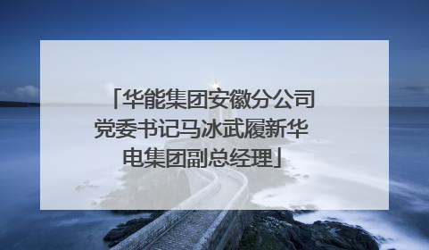 华能集团安徽分公司党委书记马冰武履新华电集团副总经理