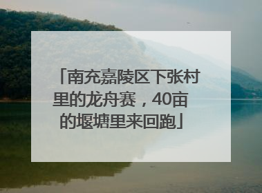 南充嘉陵区下张村里的龙舟赛，40亩的堰塘里来回跑