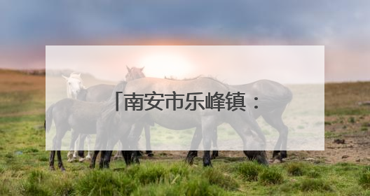 南安市乐峰镇：多管齐下筑牢森林“防火墙”，守护绿水青山