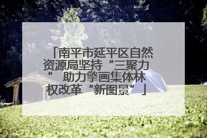 南平市延平区自然资源局坚持“三聚力” 助力擎画集体林权改革“新图景”