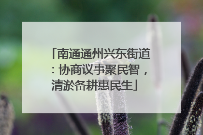 南通通州兴东街道：协商议事聚民智，清淤备耕惠民生