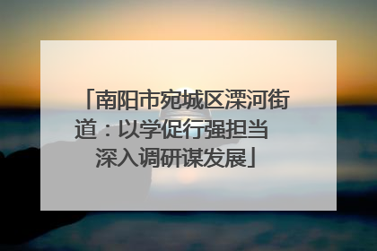 南阳市宛城区溧河街道：以学促行强担当 深入调研谋发展