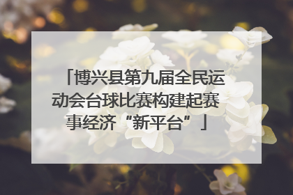 博兴县第九届全民运动会台球比赛构建起赛事经济“新平台”
