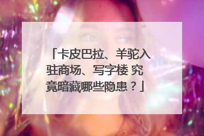 卡皮巴拉、羊驼入驻商场、写字楼 究竟暗藏哪些隐患？