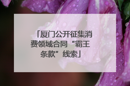 厦门公开征集消费领域合同“霸王条款”线索