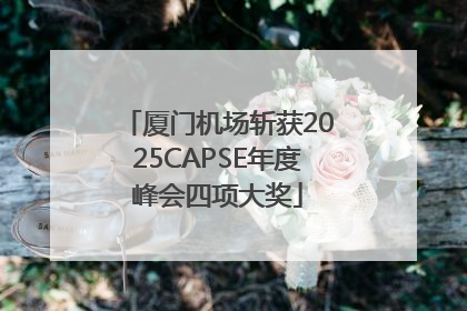 厦门机场斩获2025CAPSE年度峰会四项大奖