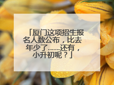 厦门这项招生报名人数公布，比去年少了……还有，小升初呢？