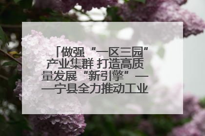 做强“一区三园”产业集群 打造高质量发展“新引擎”——宁县全力推动工业经济提质增效