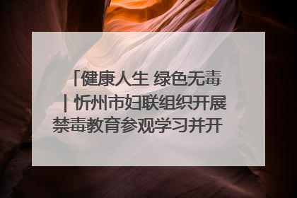 健康人生 绿色无毒｜忻州市妇联组织开展禁毒教育参观学习并开展主题党日活动