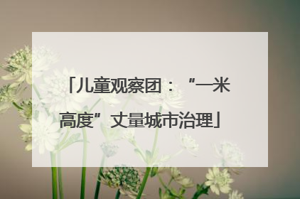 儿童观察团：“一米高度”丈量城市治理
