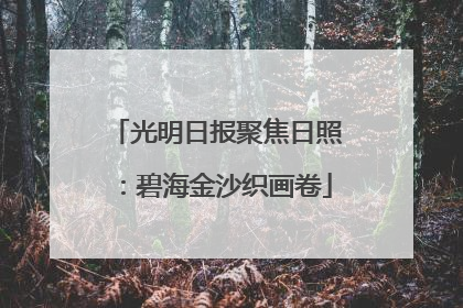 光明日报聚焦日照：碧海金沙织画卷