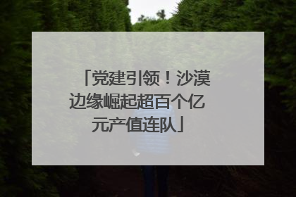 党建引领！沙漠边缘崛起超百个亿元产值连队