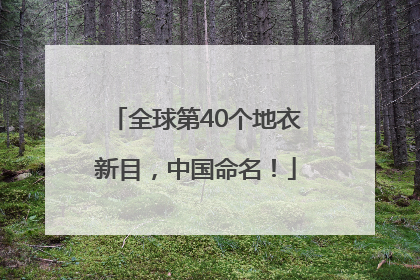 全球第40个地衣新目，中国命名！