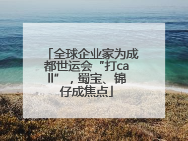 全球企业家为成都世运会“打call”，蜀宝、锦仔成焦点