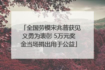 全国劳模宋兆普获见义勇为表彰 5万元奖金当场捐出用于公益