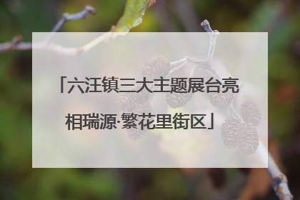 六汪镇三大主题展台亮相瑞源·繁花里街区