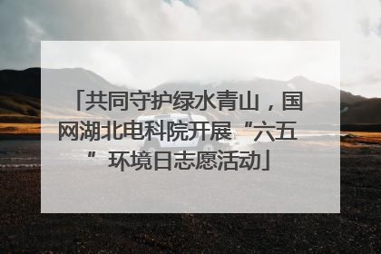 共同守护绿水青山，国网湖北电科院开展“六五”环境日志愿活动