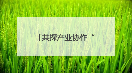 共探产业协作“新”机遇 2025金熊猫全球创新创业大赛启动