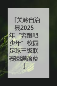 关岭自治县2025年“奔跑吧少年”校园足球三级联赛圆满落幕