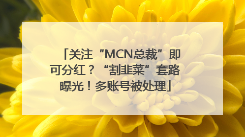 关注“MCN总裁”即可分红？“割韭菜”套路曝光！多账号被处理