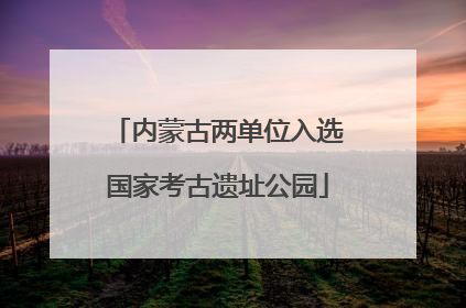 内蒙古两单位入选国家考古遗址公园