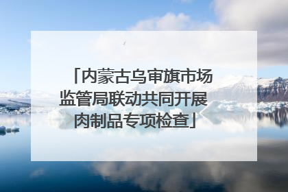 内蒙古乌审旗市场监管局联动共同开展肉制品专项检查