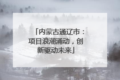 内蒙古通辽市：项目浪潮涌动，创新驱动未来