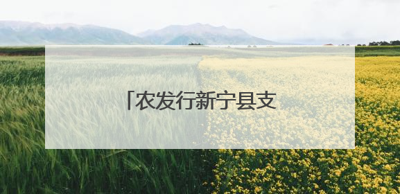 农发行新宁县支行开展“民法典进企业”普法宣传