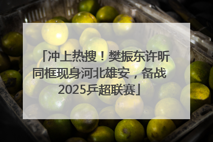 冲上热搜！樊振东许昕同框现身河北雄安，备战2025乒超联赛